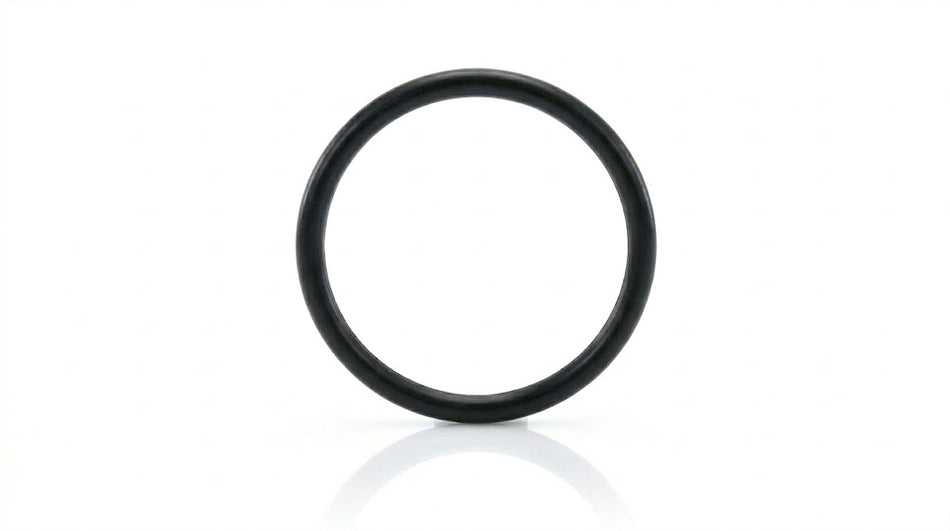 MAN Toric Seal 06.56331.3261